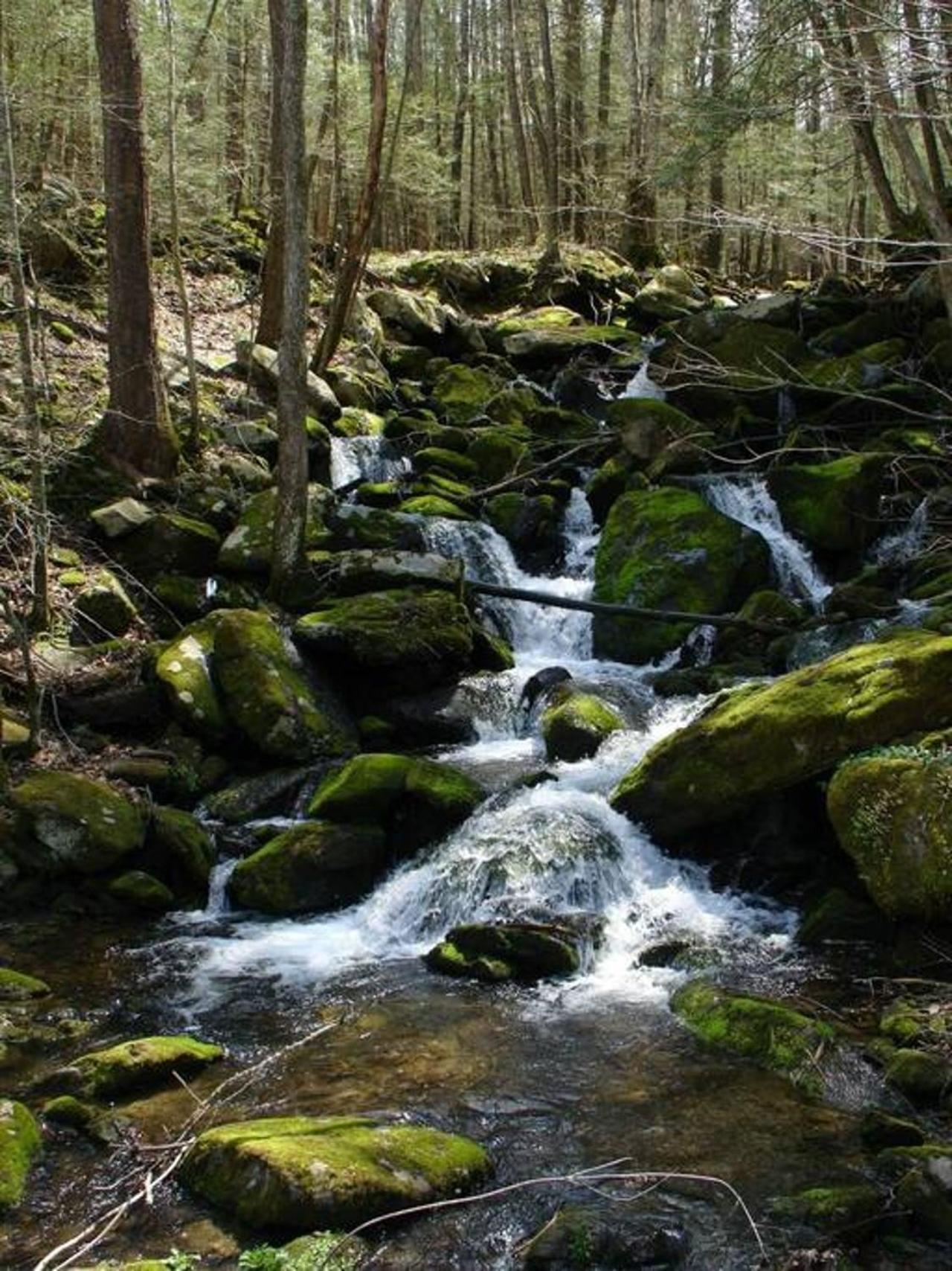 Peace, Serenity & Relaxation In The Smokies! Gatlinburg Kültér fotó