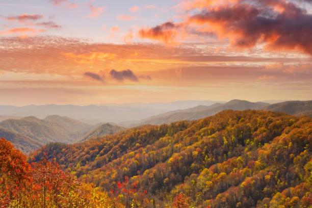 Peace, Serenity & Relaxation In The Smokies! Gatlinburg Kültér fotó