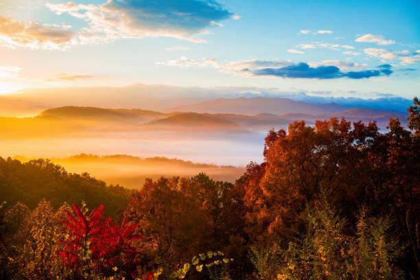 Peace, Serenity & Relaxation In The Smokies! Gatlinburg Kültér fotó