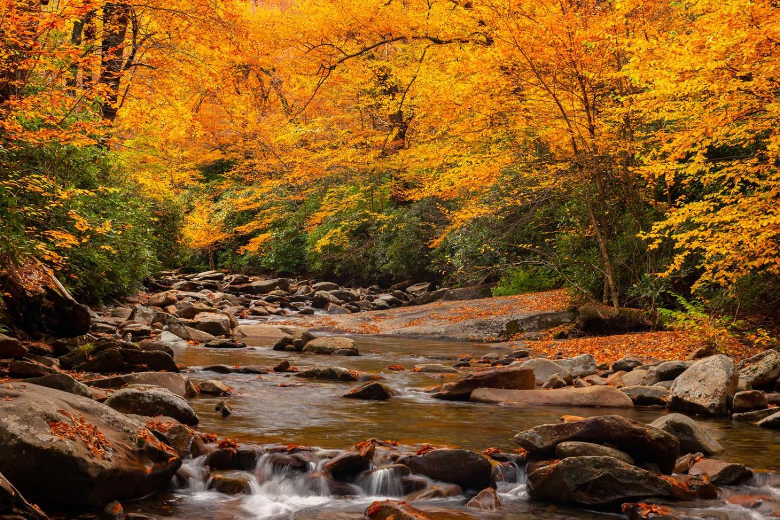 Peace, Serenity & Relaxation In The Smokies! Gatlinburg Kültér fotó